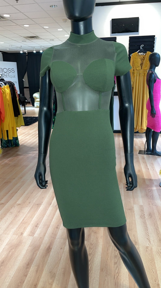 Olive Green Mesh Dress